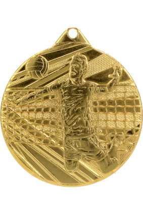 Medal stalowy złoty piłka siatkowa